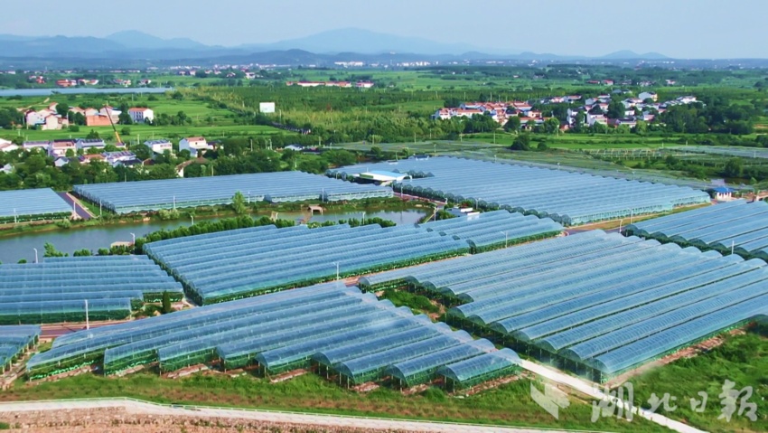 大富豪电玩游戏官网