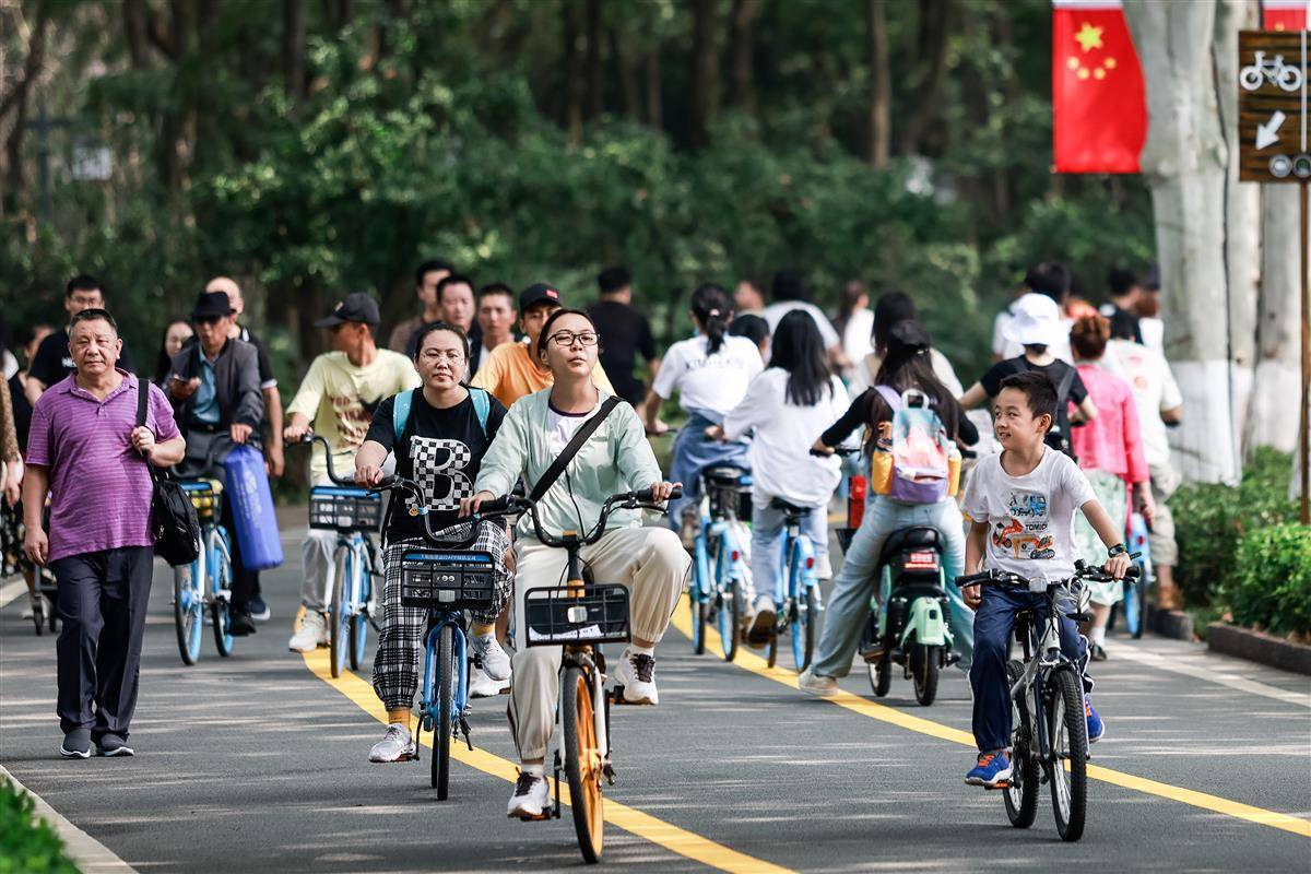吉祥民粹2019